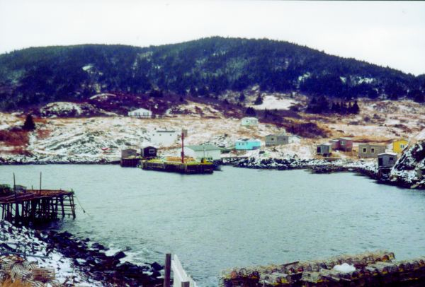 508: View looking northwest across Red Island harbour. (circa 2000) [courtesy of Madonna (Bishop) Mulrooney]